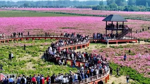 夏日文旅热潮涌现 消费市场释放高质量发展新潜力