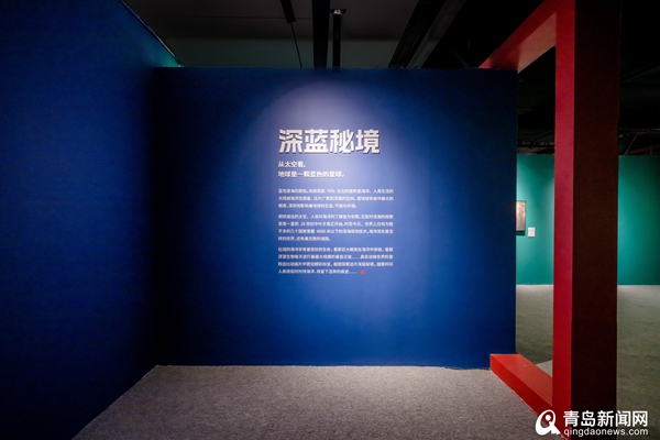 视听盛宴！中国国家地理·探索极致发现科学艺术影像展在青举办