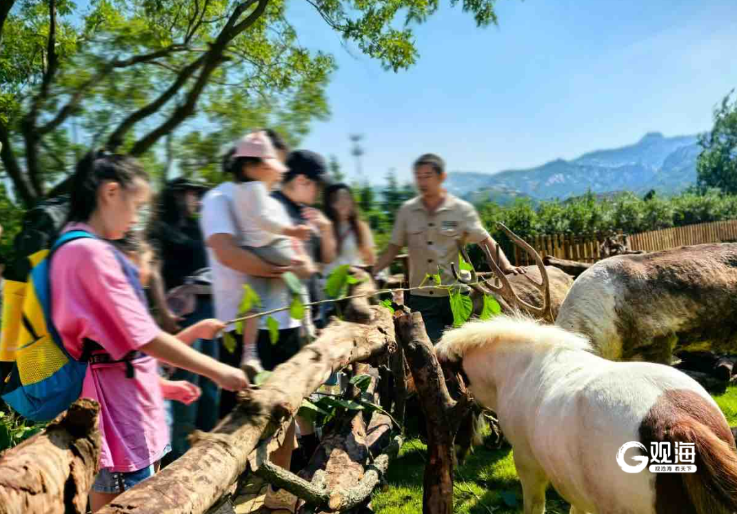 中秋假期 青岛旅游热度居全国前十