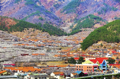 以文化力量赋能乡村振兴
