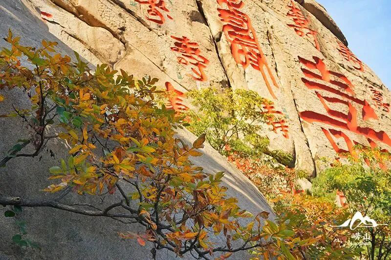 2025崂山赏秋地图发布 秋韵“大片”即将绝美上映!