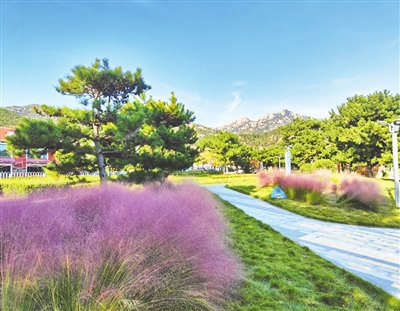 <b>快来邂逅秋天的限定色彩 崂山区发布秋日漫游指南</b>