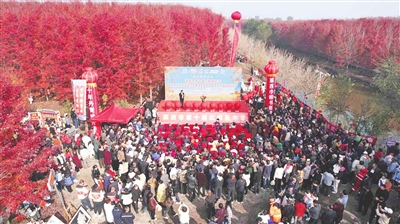 莱西市第十届红枫嘉年华暨莱西女画家十周年系列活动举行