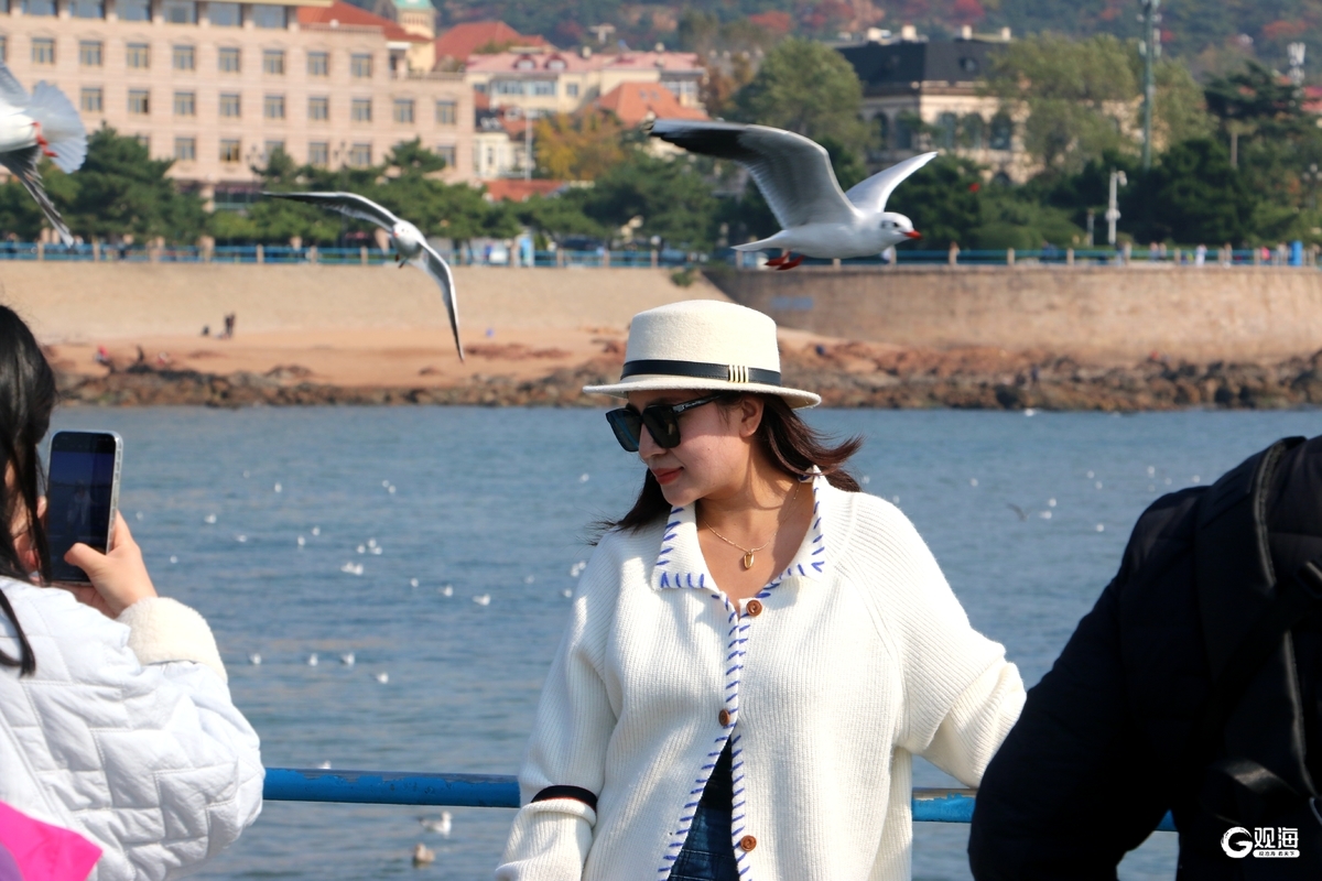 与鸥为邻,青岛藏着最治愈的互动