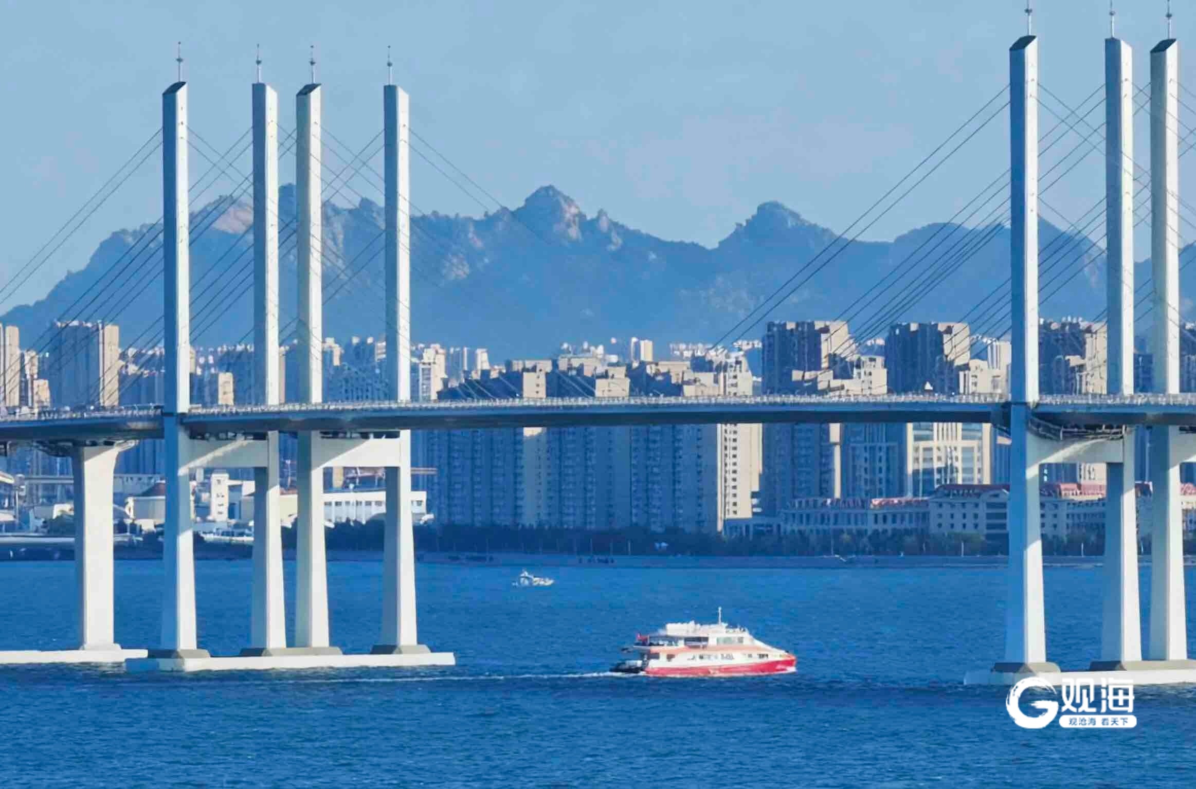 青岛“海上穿越大桥”航线火爆出圈,总销售额突破百万元