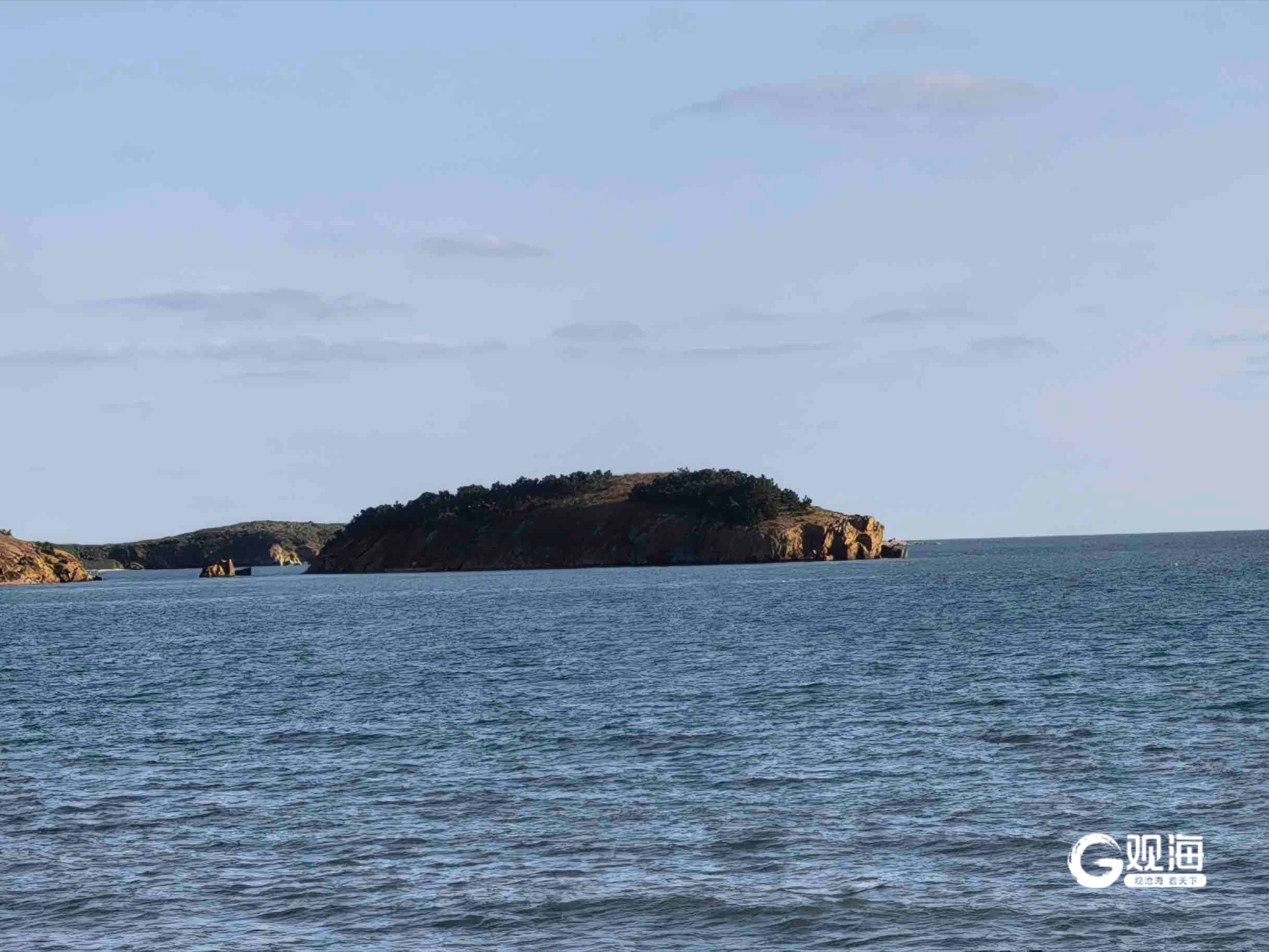 “会打呼噜”的猪岛藏不住了!雷军微博带火猪岛,青岛120座海