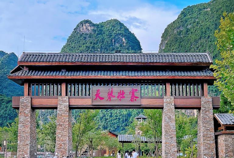 在广西崇左看农文旅三景同框：​一抹红色、一曲壮韵、一片稻浪