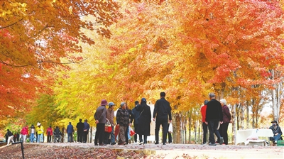 青岛西海岸新区张家楼街道年接待游客超200万人次 带动全域消费突破1.2亿元