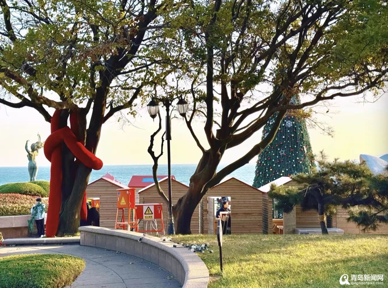 鸥鸣潮起暖冬日！青岛海鸥季解锁滨海消费新图景