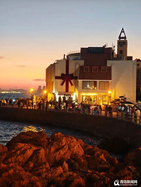 鸥鸣潮起暖冬日！青岛海鸥季解锁滨海消费新图景