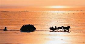 吉林松原推动文旅融合发展——一条鱼，“游”出大产业