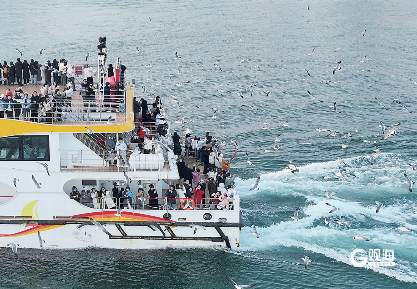 “海上看青岛”近悦远来，客源加速向全国拓展