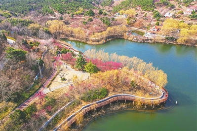 清明将现亲子游、赏花游热潮！青岛产品热度高