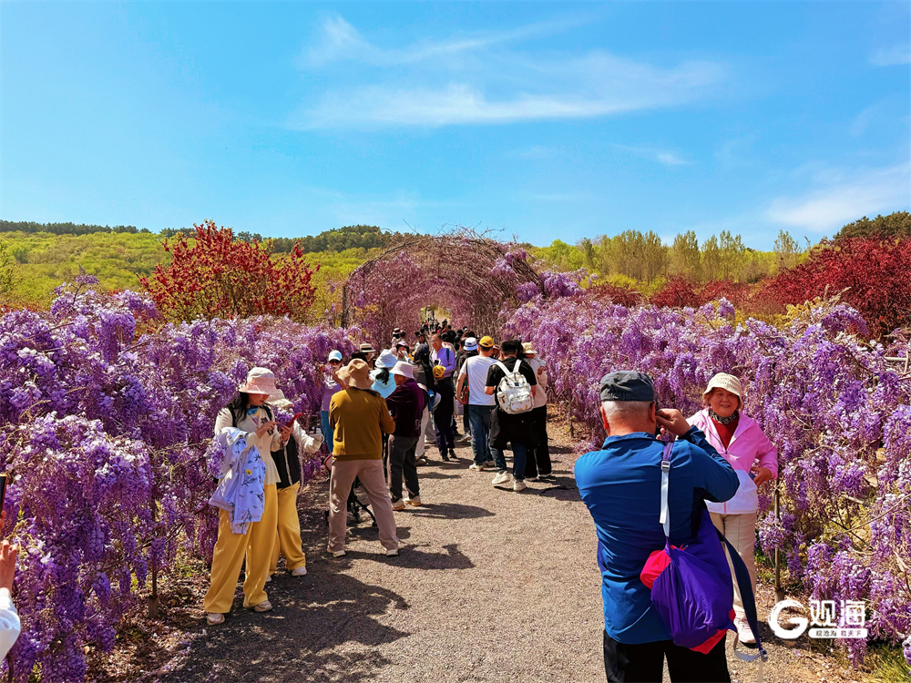 62场活动，45条线路集中发