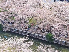 春假来了，春日经济活力迸发