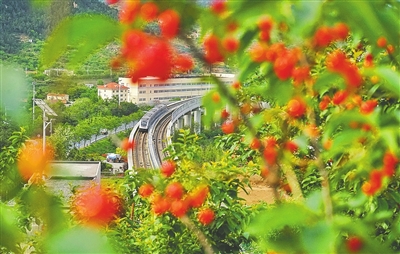 青岛市崂山区发布5月农文体旅商系列活动