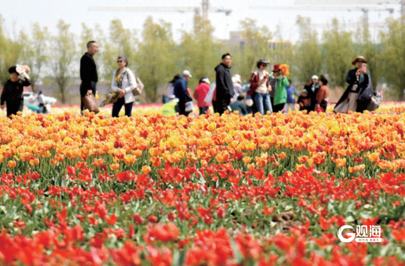 推出235项特色活动 青岛发布5月“文旅大餐”