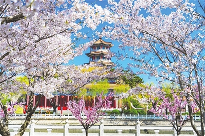 全国首个街道级高德文旅地图项目在青岛西海岸新区隐珠街道上线运行