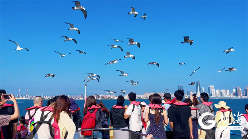 山海有约,潮起奥帆,青岛旅游集团双节体验精彩纷呈